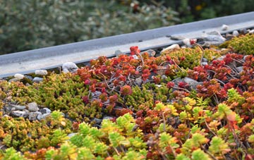 the cost of Elwell green roof installation