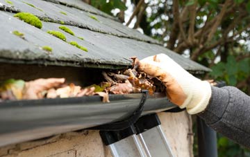 gutter cleaning Elwell