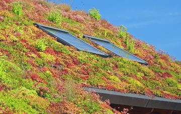 Elwell living roof systems